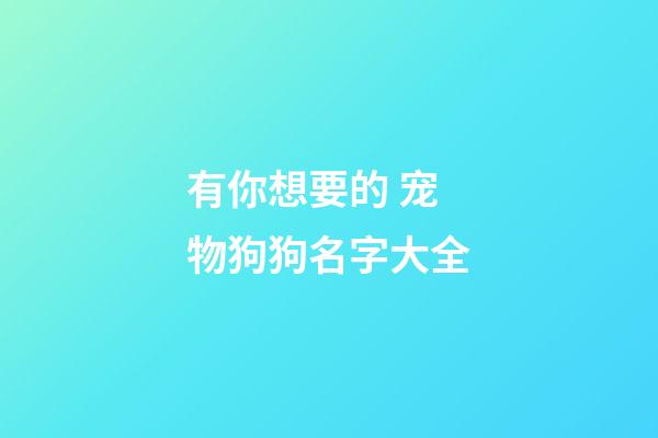 有你想要的 宠物狗狗名字大全